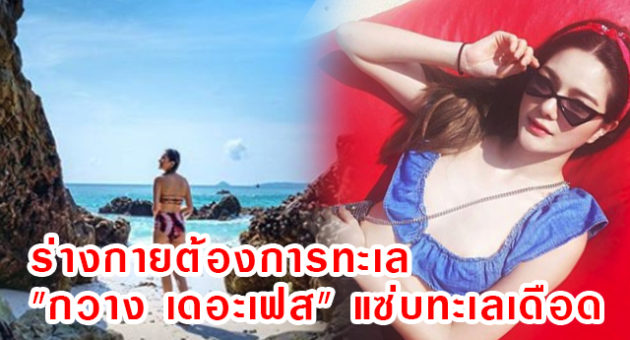 ปกก