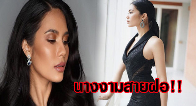 ปกน้ำตาล