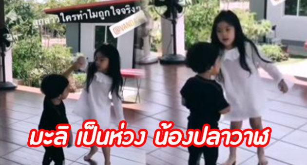 ปก