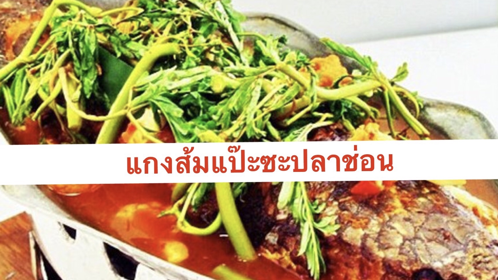 ชดน้ำร้อนๆ เนื้อปลาแน่นๆ แกงส้มแป๊ะซะปลาช่อน ชดน้ำร้อนๆ เนื้อปลาแน่นๆ แกงส้มแป๊ะซะปลาช่อน