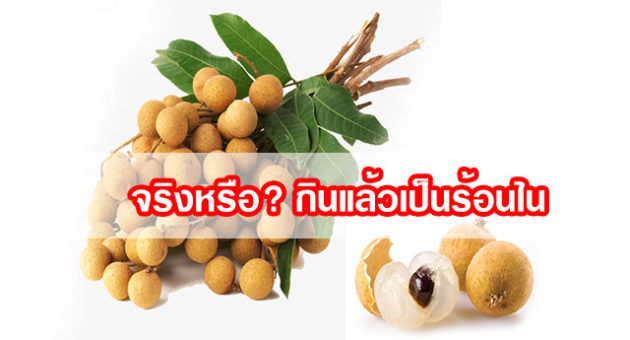 ลำไย