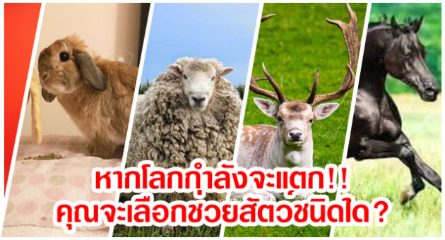 ต้นแบบ 1