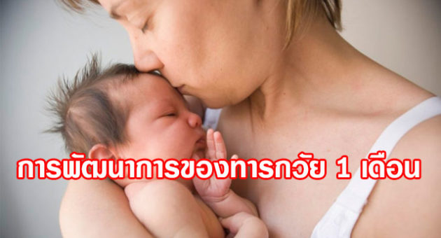 ปก2