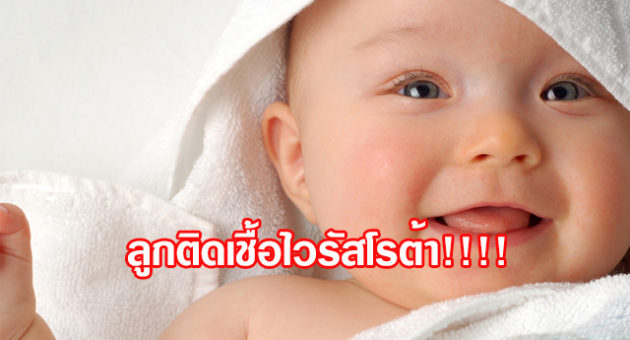 ปก33