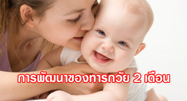 ปก5