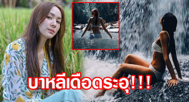 ปก8