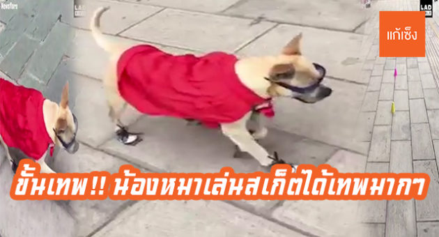 ขั้นเทพ