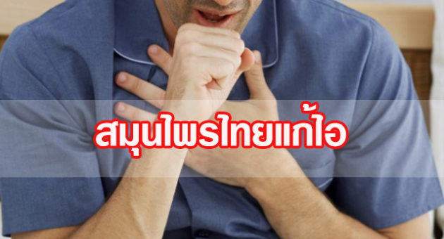 ยานสาส้ดีัรดั้้่าส