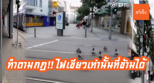 เป็ด