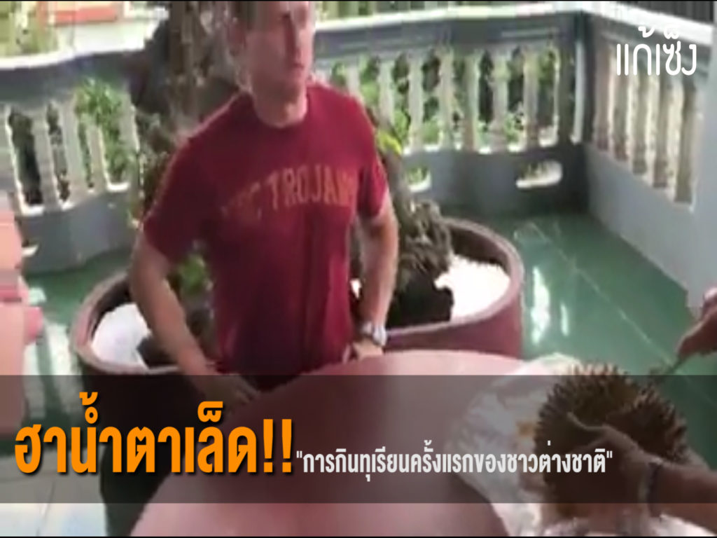 TV Pool Online