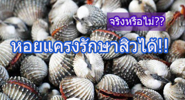 ดเ่