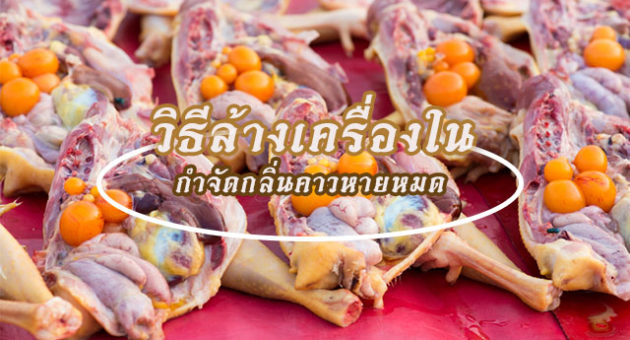 ปโฏ่าเาใ้ด