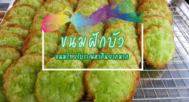 ัีร่าีัะ่