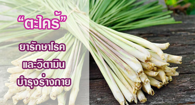 ่ัราัีะรีั