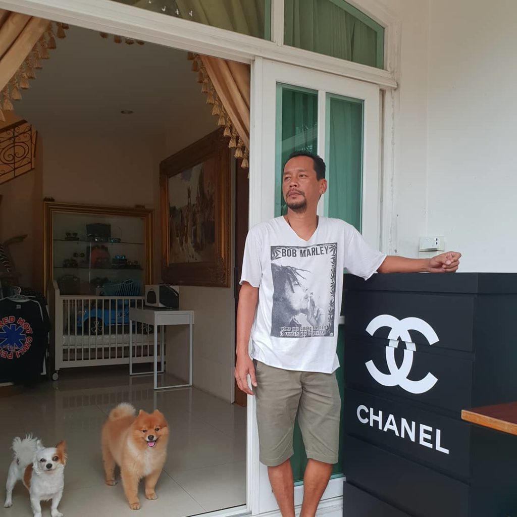 TV Pool Online