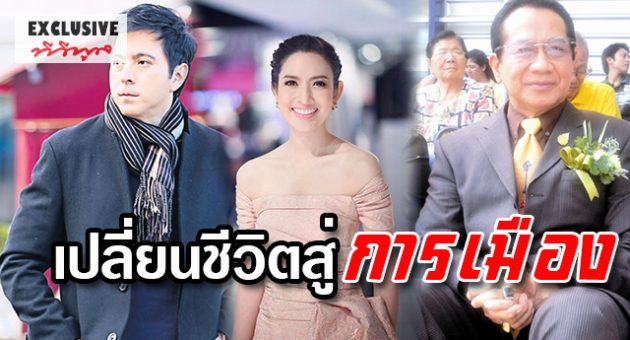 การเมือง