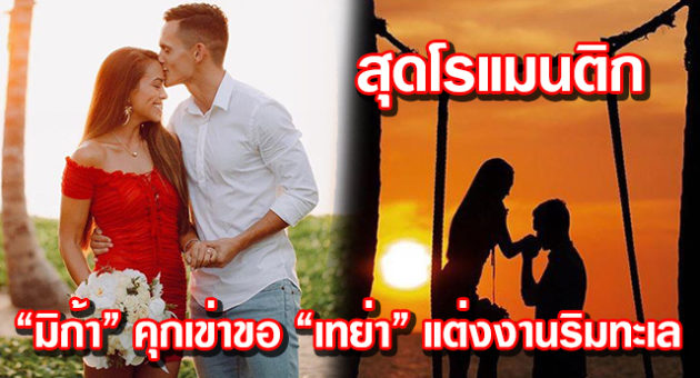 ปก
