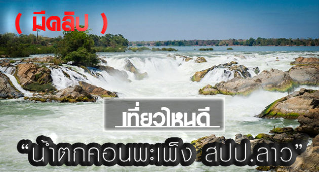 หน้าปก55