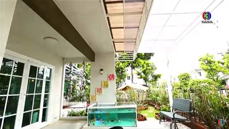 TV Pool Online