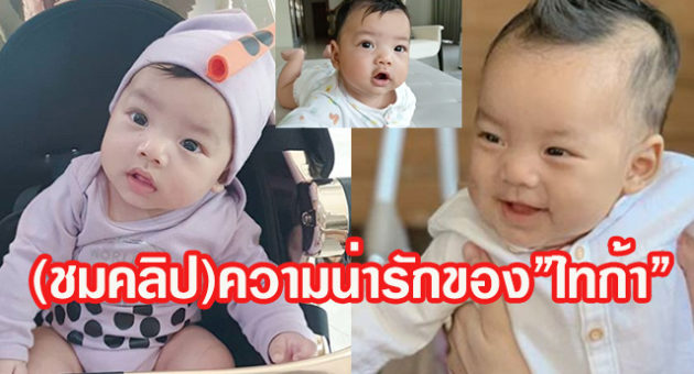 ไทก้า