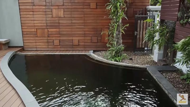 TV Pool Online