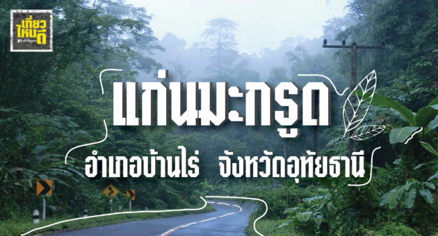 ปก-01