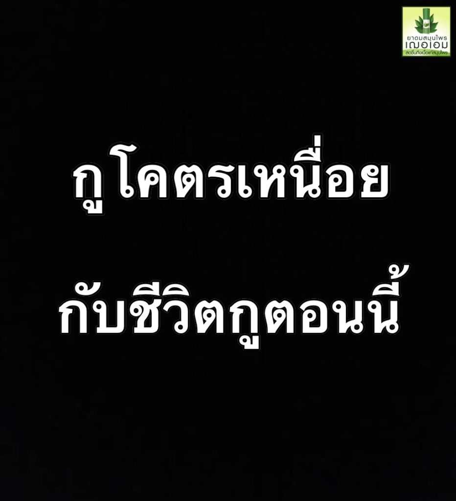 TV Pool Online