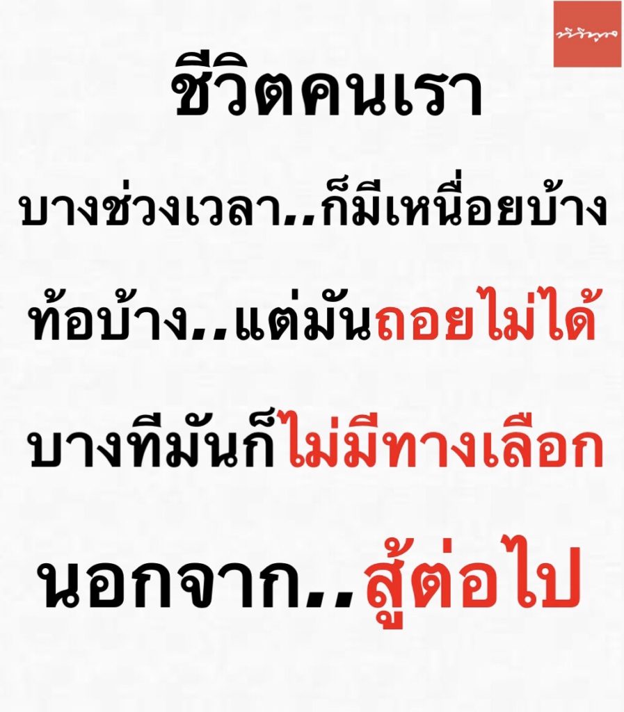 TV Pool Online