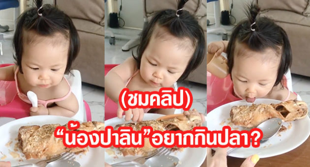 ปาลิน