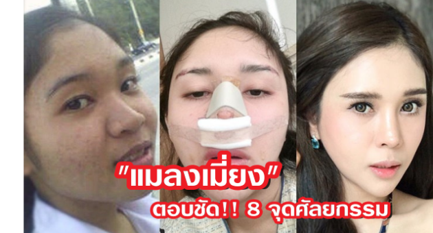 ปกแมลงเมี่ยง