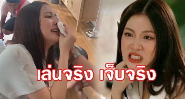 ปกใบเฟิร์น 1