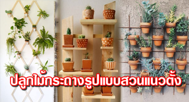 ปลูกไม้กระถาง รูปแบบสวนแนวตั้ง