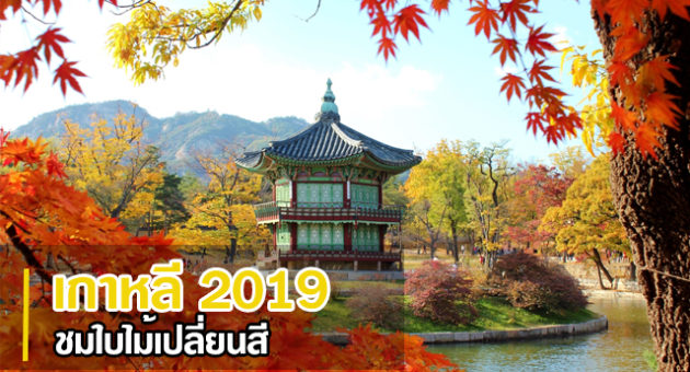 เที่ยวเกาหลี 2019