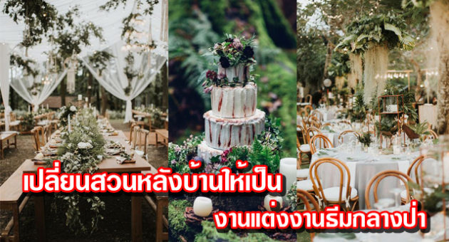 งานแต่งงานธีมกลางป่า