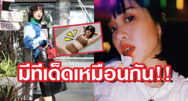 ปกพลอย