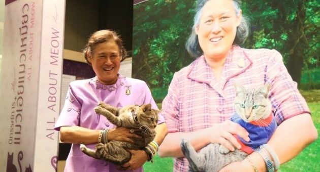 พระเทพ-อุ้มแมว2-630x420
