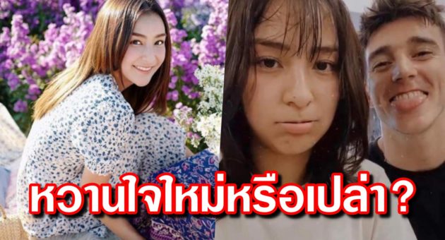 ปก ชิปปี้