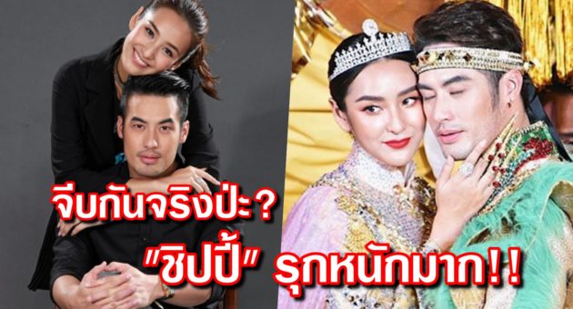 ปก บอย