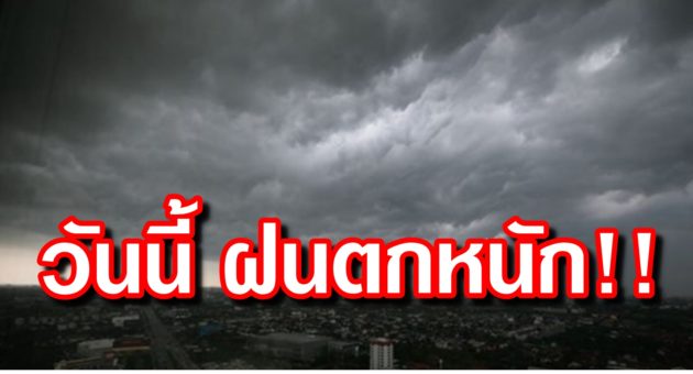 ปก ฝน