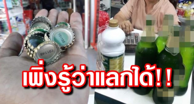 ปก ฝา
