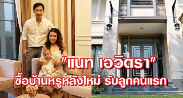 ปก แนท