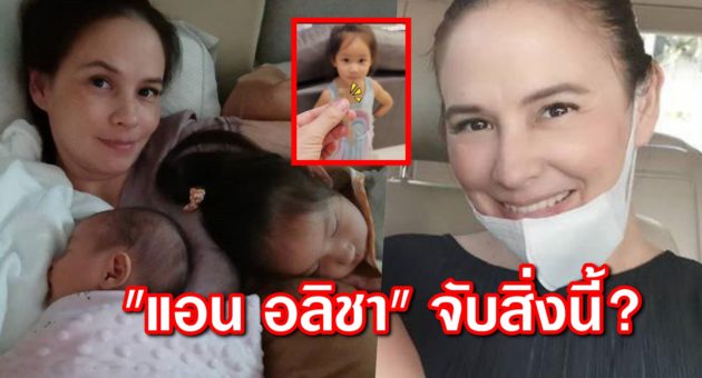 ปก แอน