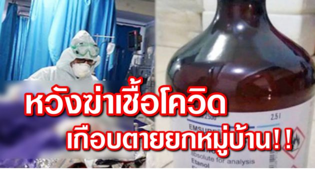 ปก แอล
