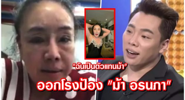 ปก มดดำ