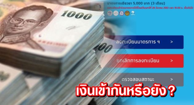 ปก เงิน