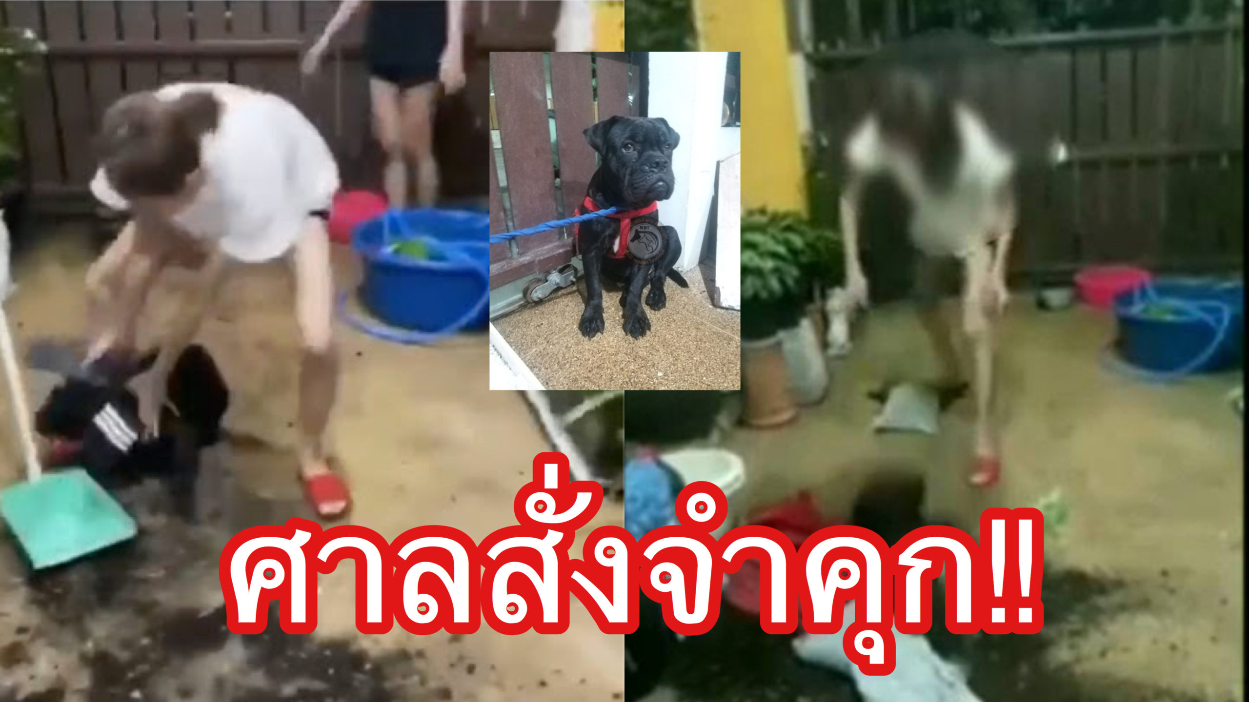 สาวประเภทสองตีหมางานเข้า!!! ศาลมีคำสั่งตัดสินแบบนี้! สาวประเภทสองตีหมางานเข้า!!! ศาลมีคำสั่งตัดสินแบบนี้!