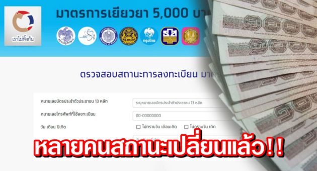 ปก เงิน