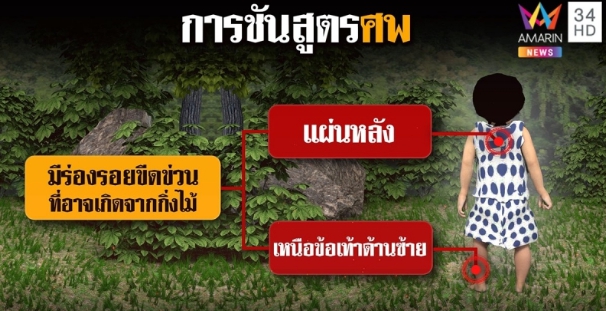 TV Pool Online
