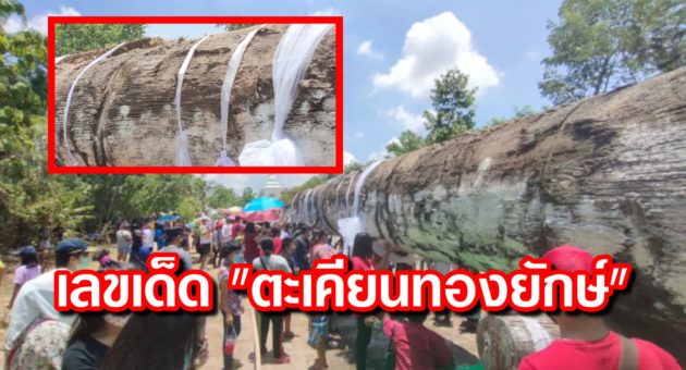 ปก หวย