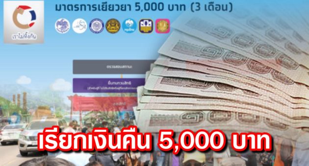 ปก เงิน